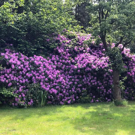 Friesenstube 아파트