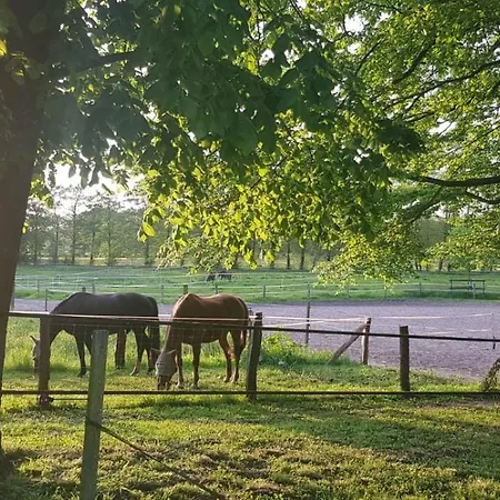 아파트 Friesenstube Zetel