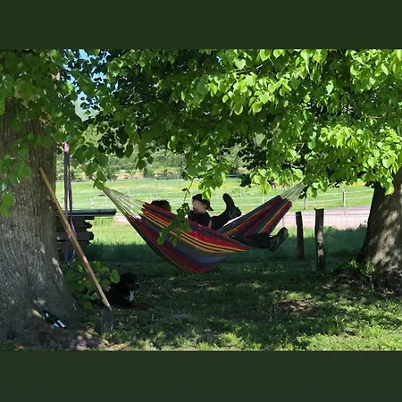 Friesenstube דירה