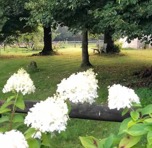 Friesenstube 公寓 Zetel